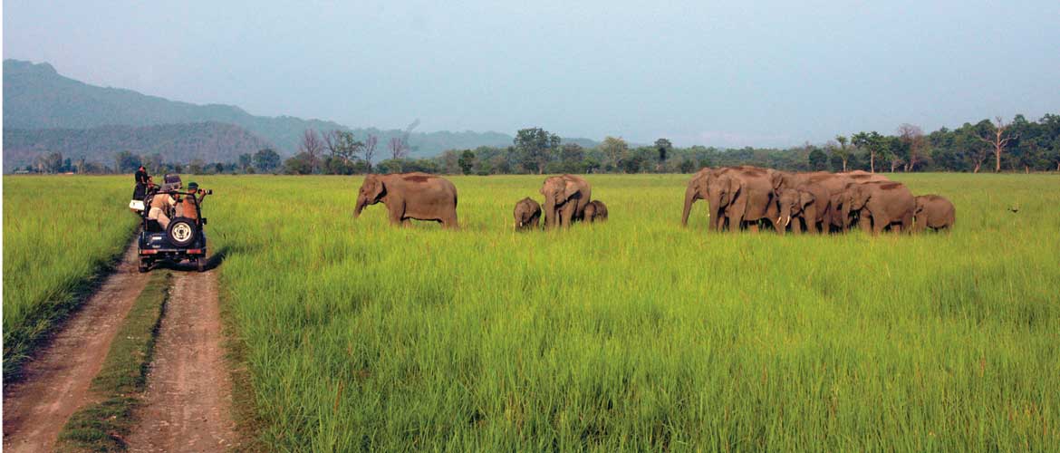 corbett